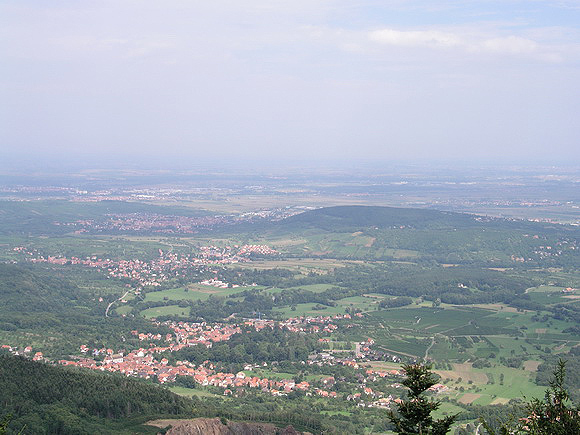 Frankreichs sch&ouml;nster Garten - so nannte Ludwig XIV. das Elsass, als er zum ersten Mal die Vogesen &uuml;berschritten hatte. Bild: Blick vom Mont Ste. Odile in die Rheinebene.