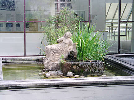 Schildbuckel