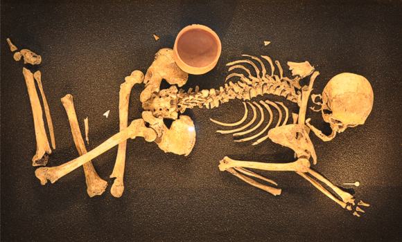 Jungsteinzeitliches Männergrab aus Stetten an der Donau