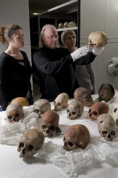 Reiss.-Engelhorn-Museen, Mannheim: Vorbereitungen zum Ausstellungsh�hepunkt 2011 �Sch�delkult � Kopf und Sch�del in der Kulturgeschichte des Menschen� � rem, Foto: Jean Christen.