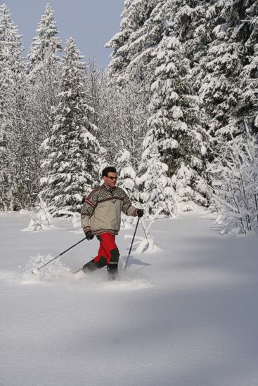 Winterwanderer in Todtnauberg