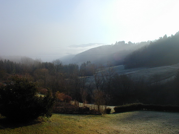 Morgennebel im Kinzigtal 