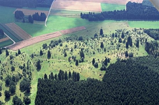 Naturschutzgebiet Dellenhäule, Ostalbkreis