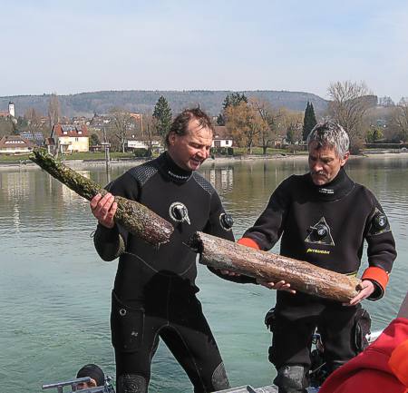 Gemeinsam bergen Taucharchäologen des baden-württembergischen Landesamtes für Denkmalpflege im RPS und des Amts für Archäologie des Kantons Thurgau von der Erosion bedrohte Holzpfähle.