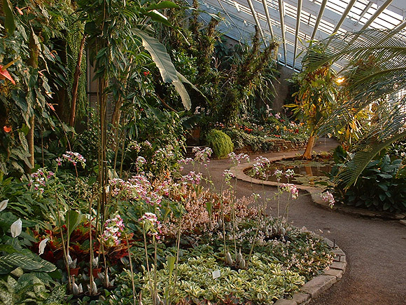 Warmhaus im Botanischen Garten Karlsruhe. Foto: ssg