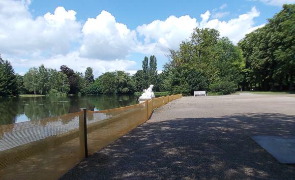 Schutzzaun am Gro&szlig;en Weiher - diesmal soll der Weiher vor den G&auml;nsen gesch&uuml;tzt werden. Bild: &copy; ssg