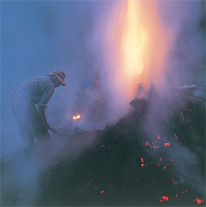 Eine alte Tradition lebt wieder auf: Kohlenmeiler in Baiersbronn. Foto &copy; Baiersbronn Touristik