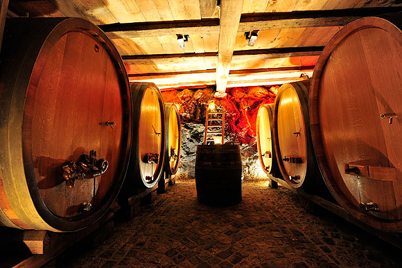 Holzfässer im Weinkeller des Weinguts Danner, Durbach