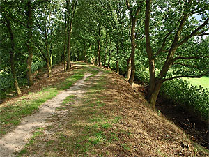 Grenzbefestigung Danewerk