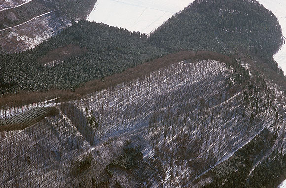 Luftbild der zungenförmig gestalteten Alten Burg bei Langenenslingen. Links sind die gestaffelten Befestigungsanlagen gut erkennbar 
