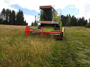 Mähdrescher auf einer Blumenwiese bei Lenzkirch in Grünwald. Hier wurden für das Projekt des Naturparks Südschwarzwald Samen von Bärwurz und Schwarzer Flockenblume geerntet. (© Ulrike Stephan)