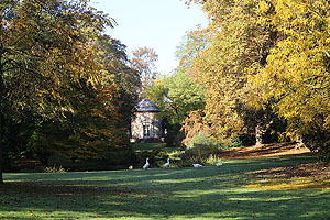 Blick durch das Wiesentälchen zum Tempel der Waldbotanik.