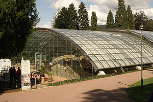 Badenweiler, Schutzdach über der römischen Badruine. Foto: kulturer.be