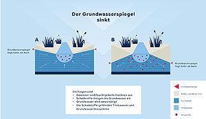 Als Folge des Klimawandels kippt vielerorts der Landschaftswasserhaushalt: Durch sinkende Grundwasserstände versickern die Fließgewässer in den Untergrund und verschmutzen mit ihren Schadstoffen das Grundwasser. Grafik: Sina Hurnik