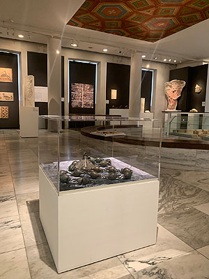 Blick in die Ausstellungen: Im Zeichen des Kreuzes im Museum am Dom. Foto:  Museum am Dom .