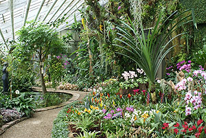 Botanischer Garten Karlsruhe, Kalthaus exotischer Pflanzen. Foto: kulturer.be