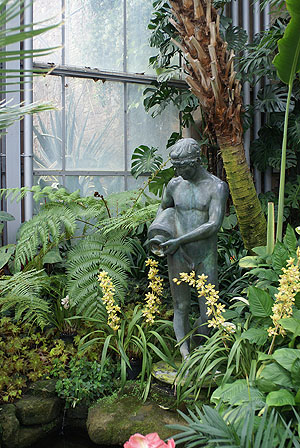 Botanischer Garten: Im Tropenhaus. Foto: kulturer.be