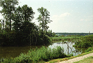 Landschaft am Taubergießen. Foto: kulturer.be