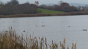 Fischweiher beim Schloss Salem. Foto: ssg/ov salem