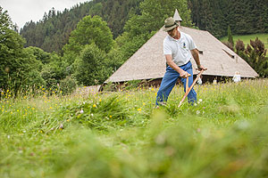 Vom Dengeln und Sensen: An Christi Himmelfahrt, 18. Mai, können die Museumsgäste von 14 bis 16 Uhr erleben, wie die Museumswiesen mit der Handsense gemäht werden. Foto: Schwarzwälder Freilichtmuseum Vogtsbauernhof, Hans-Jörg Haas