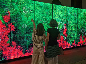 Museum im Andreasstift Worms: Borbetografie und Kaiserthron-Projekt. Fotos: Eichfelder