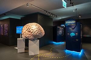 Blicke in die Ausstellung. Fotos: Philipp Emmel / HMB