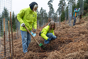Pflanzaktion Wildkatzenwälder von morgen in Eberbach. Schülerinnen bei der Arbeit. Fotos: BUND