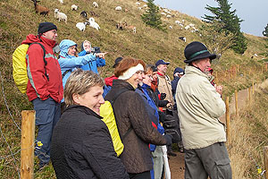 Ausgebildete Gästeführerinnen und Gästeführer zeigen Besuchern die Schönheiten udn Besonderheiten des Südschwarzwalds. © VHS Hochschwarzwald