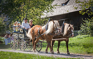 Von Pferden gezogene Kutsche, mit der Besucher eine Rundfahrt durch das Museummachen können