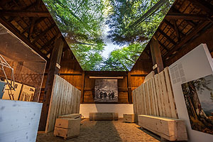 In der Waldausstellung im Lorenzenhof erwartet die Besucher eine spannende Bilderreise durch den Wald. Foto: Schwarzwälder Freilichtmuseum Vogtsbauernhof, Hans-Jörg Haas 