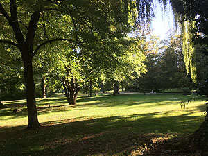 Schlossgarten Schwetzingen, Blick in den englischen Landschaftsgarten "Wiesentälchen".