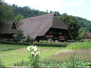 Vogtsbauernhof, Anfang 17. Jahrhundert, die Keimzelle des Freilichtmuseums.
