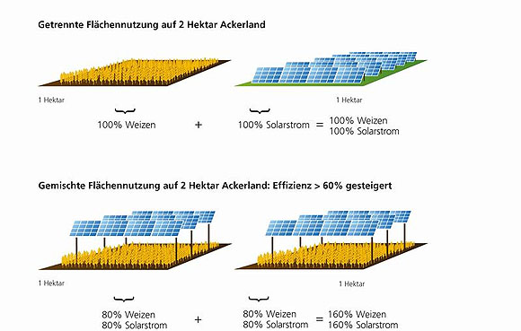 Die Doppelnutzung der Fläche steigert die Landnutzungseffizienz um 60 Prozent. © Fraunhofer ISE